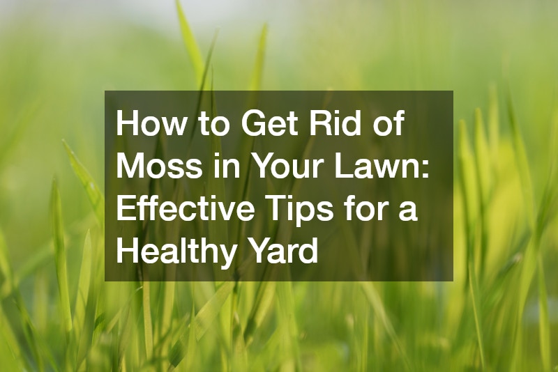 How to Get Rid of Moss in Your Lawn: Effective Tips for a Healthy Yard